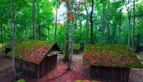 Begin your visa-prepared day with Laos’ tranquil ambiance